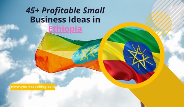 Small Business Ideas in Ethiopia