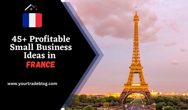 Small Business in France
